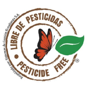 Logo 4