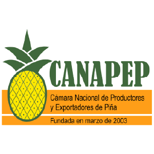 Logo 5